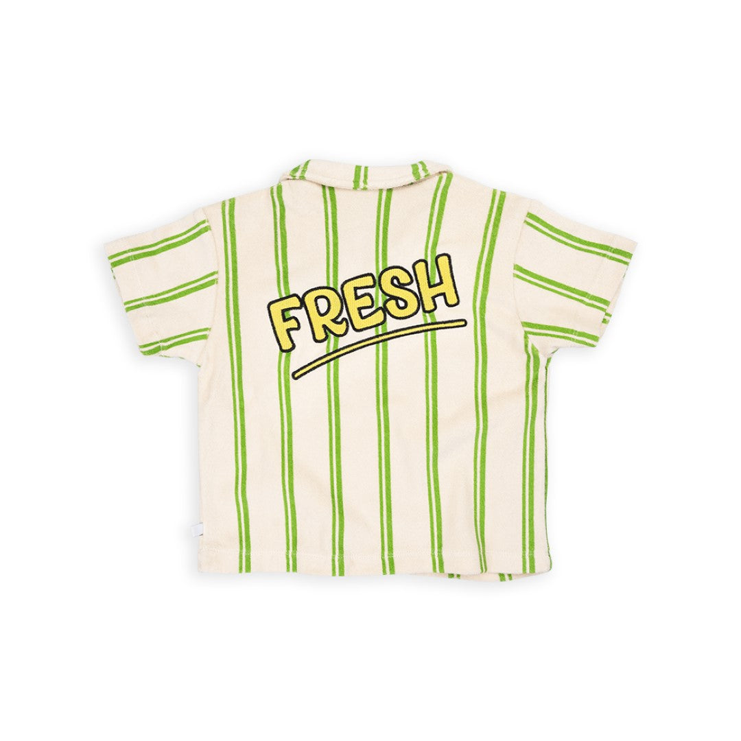 Loose Fit Polo With Embroidery Stripes Green