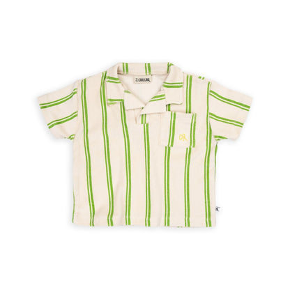 Loose Fit Polo With Embroidery Stripes Green