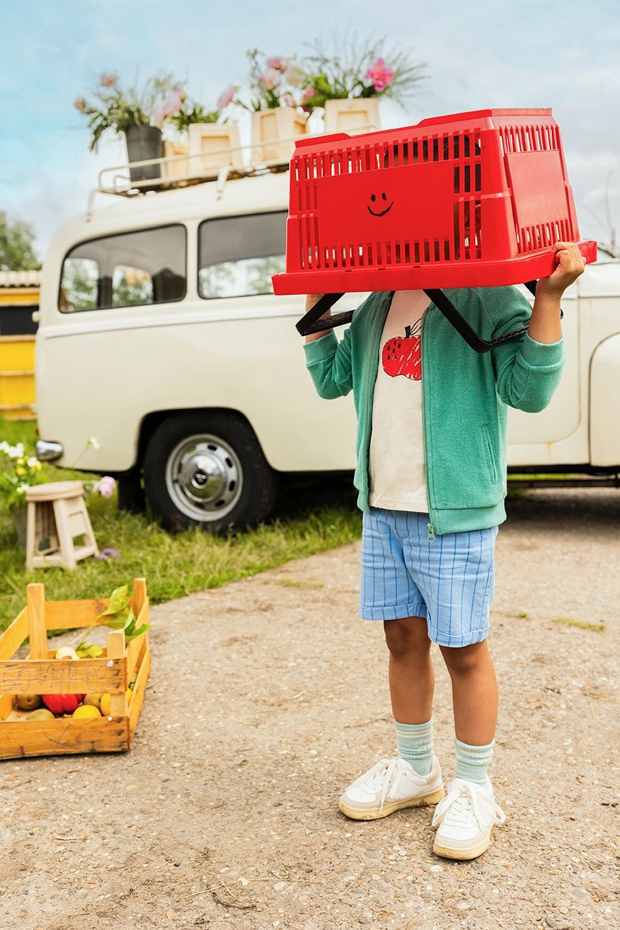 Woven Chino Shorts Thin Stripes