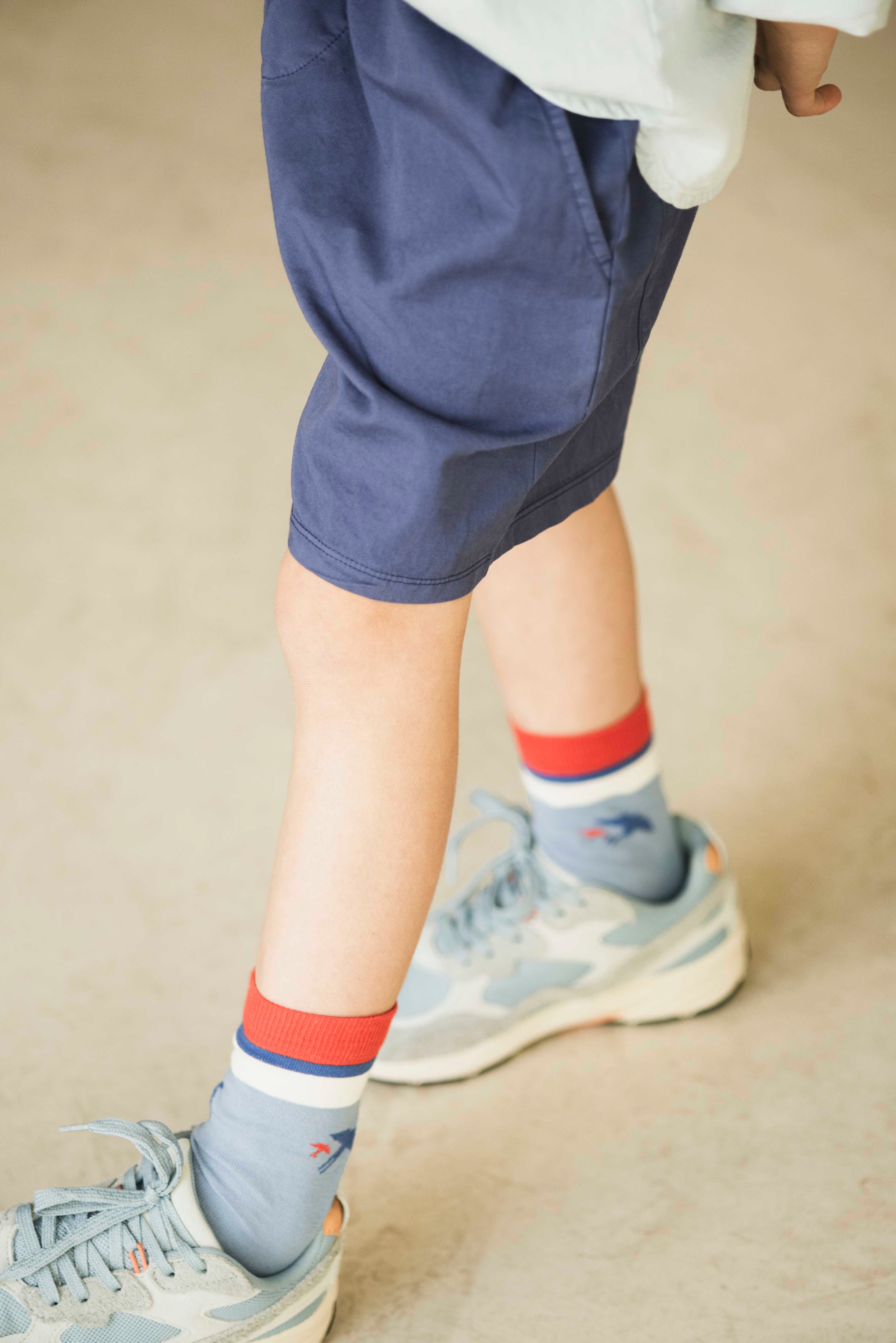 Bird Socks Grape Blue