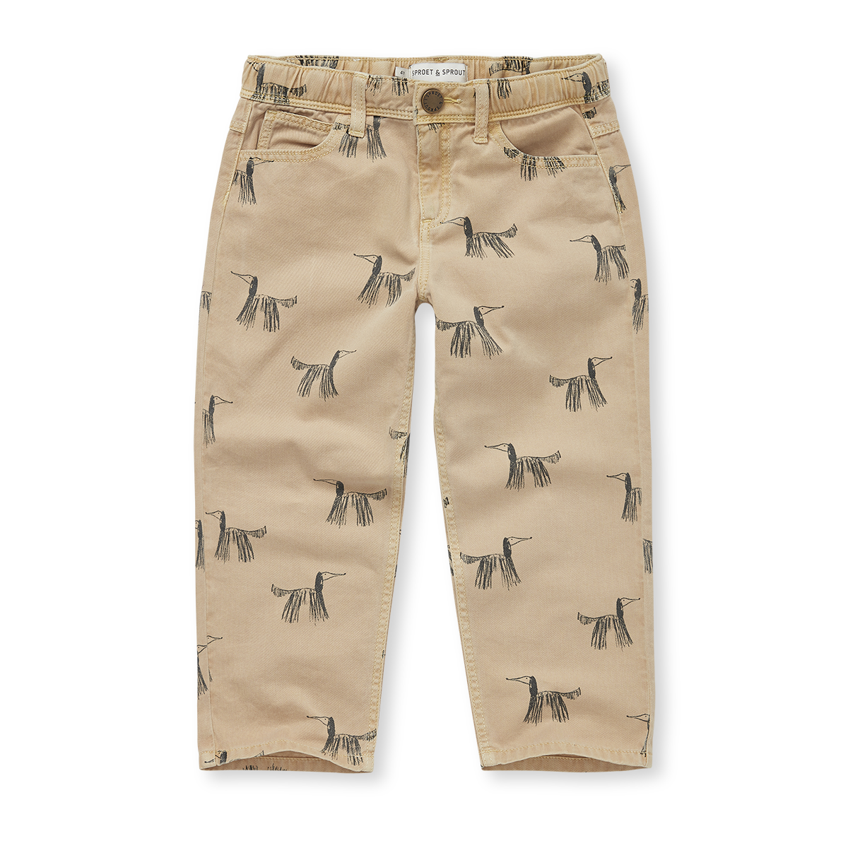 Denim Pants Dogs Biscotti