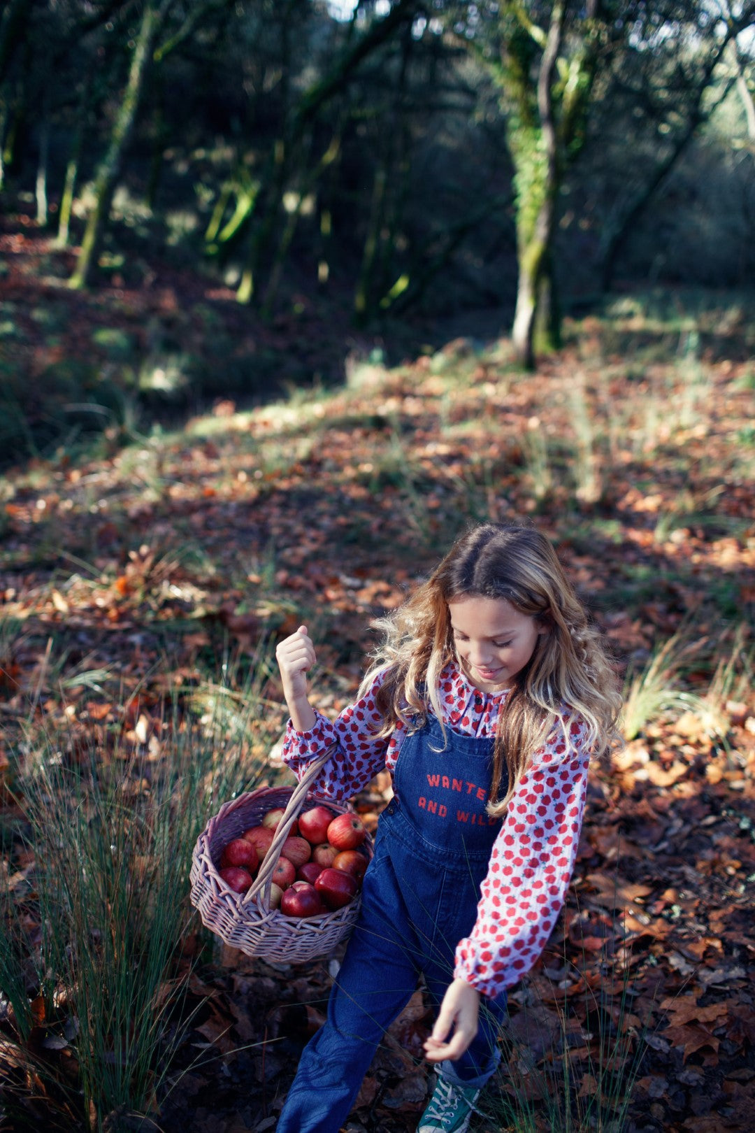 Blouse Round Collar Lilac Red Apples