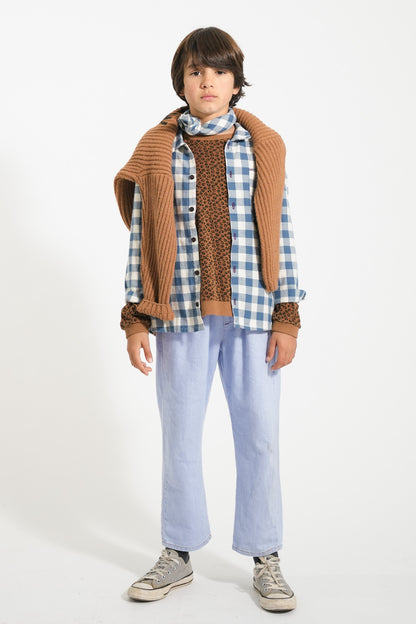 Shirt Blue And White Checkered
