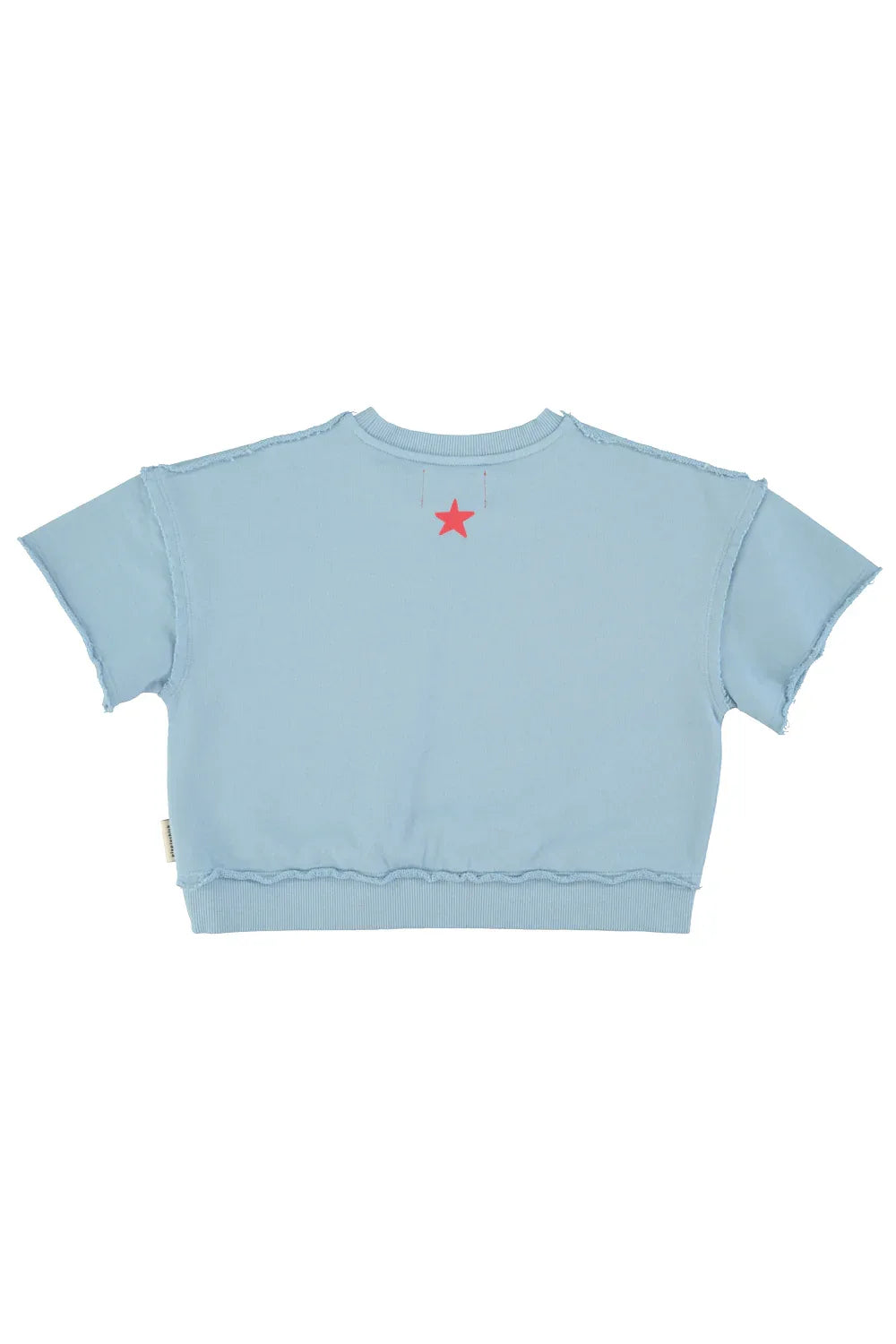 Short Sleeve Sweatshirt Blue With A Print - Piupiuchick