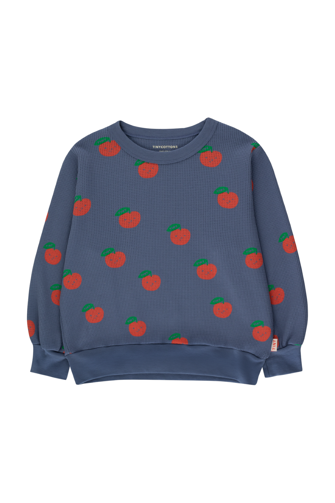 Apples Sweatshirt Light Navy Deep Red van Tinycottons