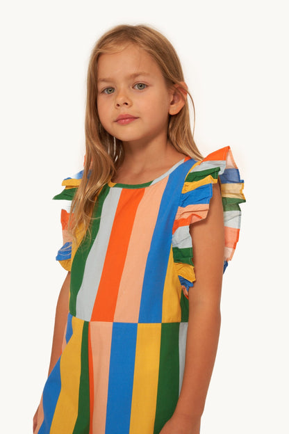 Multicolor Stripes Overall